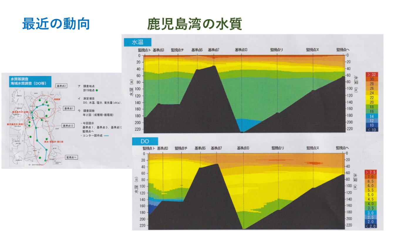 鹿児島湾水質の鉛直断面図