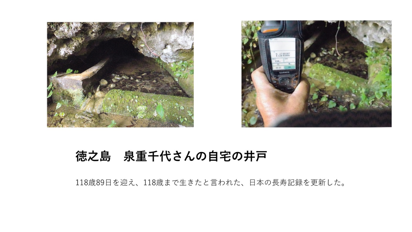 徳之島 泉重千代さん自宅の井戸
